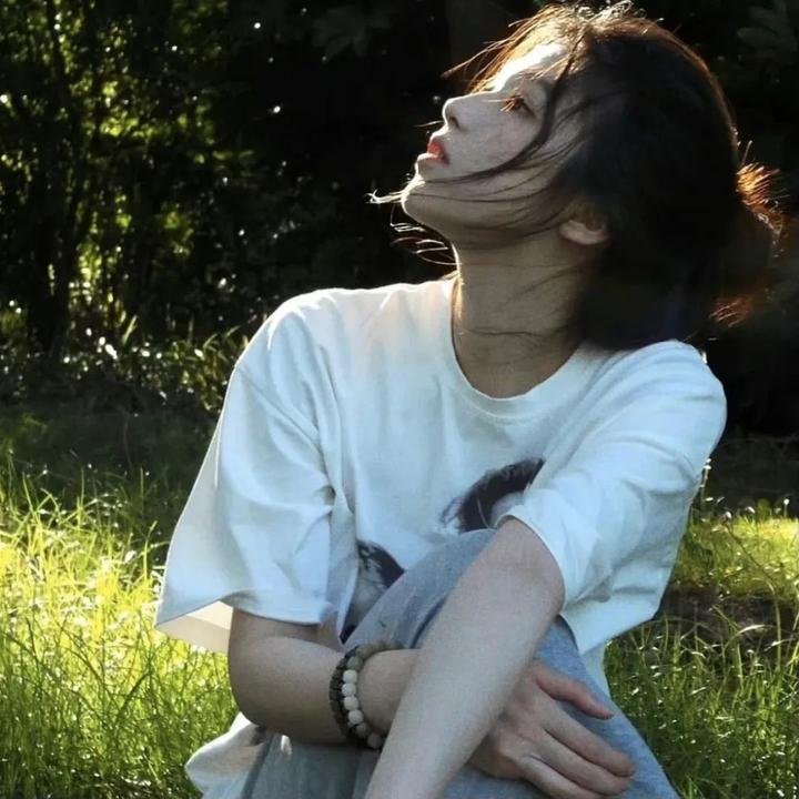 苏菲的世界