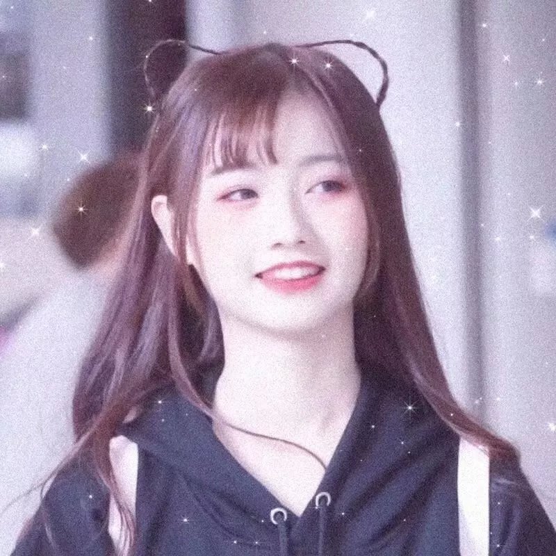 认识狗狗