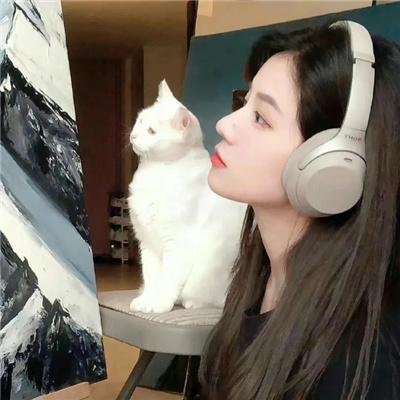 长翅膀的猪